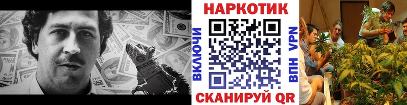 Названия наркотиков Ставрополь Cocaine  Alpha PVP  Галлюциногенные грибы  Меф  ГАШИШ 