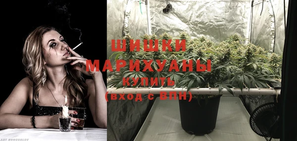 PSILOCYBIN Белокуриха