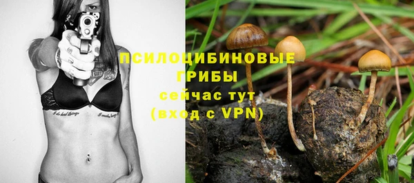 PSILOCYBIN Белокуриха