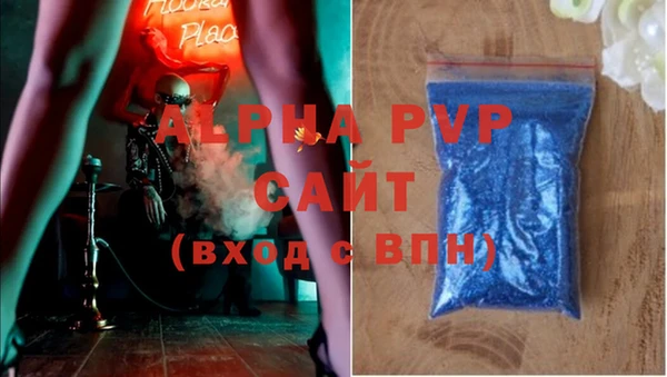 PSILOCYBIN Белокуриха
